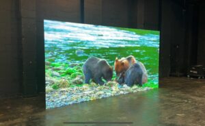 1.2mm LED Rental